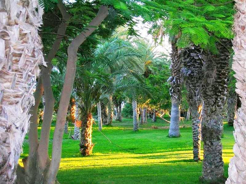 Résidence Pierre&vacances Marazul Del Sur Appart hôtel 3*